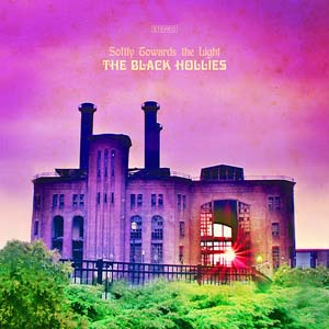 Black Hollies.