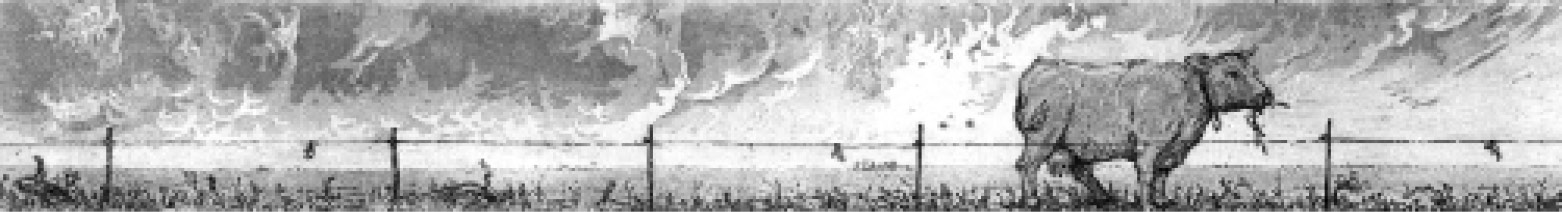 Art by Scott Westgard.